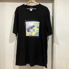 希少 Supreme THE NORTH FACE 半袖Tシャツ ビッグサイズ