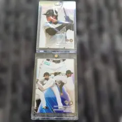 2013 BBM パズル 9枚コンプリート 大谷翔平 ルーキーカード PSA10 