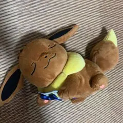 ポケモン　一番くじ　イーブイ　ぬいぐるみ