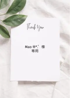 Mao ❁⃘*.゜様専用ページ