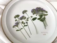 さばかん様 リクエスト 3点 まとめ商品