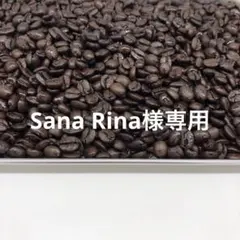 【Sana Rina様専用】深煎りブレンド 800g