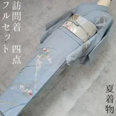 夏着物　絽紗　訪問着　フルセット　正絹　沢瀉　​藤袴　単衣　水色　金彩加工　O1のサムネイル