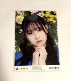 2026年最新】向井葉月の人気アイテム - メルカリ