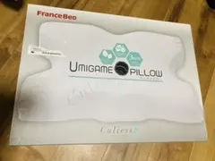 【送料込み】フランスベッド ウミガメピロー 数回使用のみ カバー洗濯済み 即決