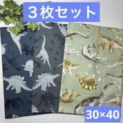 ３枚組★ランチョンマット★給食ナフキン★恐竜B