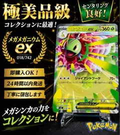 2026年最新】メガニウムの人気アイテム - メルカリ