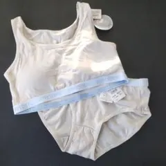 Item thumbnail for item c7b6b598-4f1b-4c99-bcd8-c46b0390f1c5