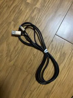 USB-A to Lightningケーブル充電のみ安全