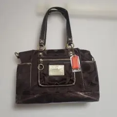 Item thumbnail for item 781a25f9-6f29-481b-915d-88d0e55981ba