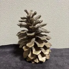 松ぼっくり 巨大 置物 インテリア 飾り