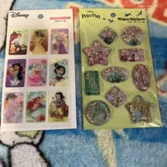 ディズニープリンセス＆ピーターパン水シールセット