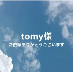 tomy様 リクエスト 2点 まとめ商品