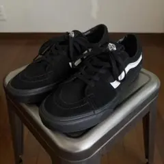 【廃盤】名作 VANS Sk8-Low Contrast オレオ 27cmのサムネイル