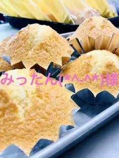 みったん(*^-^*)様　専用