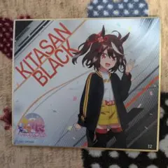 ウマ娘プリティーダービー　Kitasan Black 色紙