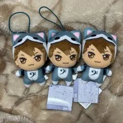 アイナナ ドンぬい 太鼓の達人 きらどるぬいぐるみ 十龍之介　3点セット