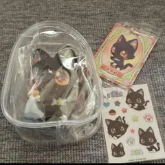 nctwish wishcat リク