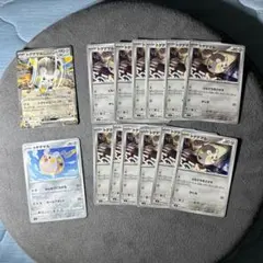 トゲテマル 3種　14枚のサムネイル