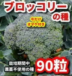 まゆりん様 リクエスト 2点 まとめ商品