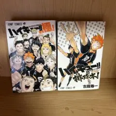大人気漫画ハイキュー！！排球本！排球極！2冊まとめ売りセットガイドブック