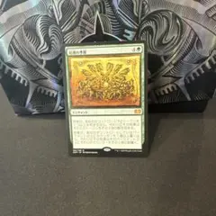 MTG 倍増の季節 MMA 英語 3枚セット(美品) FDN)倍増の季節(0438)(ショーケース)(ジャパン)(フラクチャー)(F