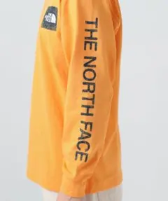 THE NORTH FACE グラフィックロングTシャツ