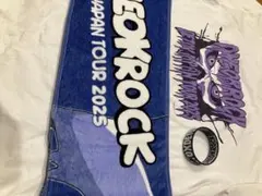 ONE OK ROCK JAPAN TOUR 2025 Tシャツ Lサイズ