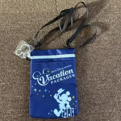 東京ディズニーリゾート ミッキーポーチ　新品未使用