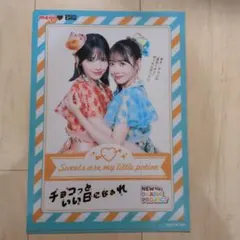 FRUITSZIPPERクリアファイル