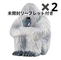 新品未使用未開封　2個　全てリーフレット付き　まちぼうけＵＭＡ