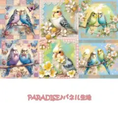 PARADISEパネル生地　 インコ柄