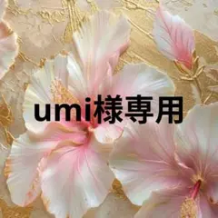 umi様専用　ジビッツ クロックス 　ハート　クマ　6点セット Ｌ