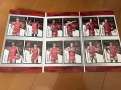 KUMANOTOVOLTERS 2024-25選手カードセット