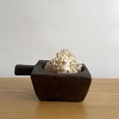 Item thumbnail for item 1572e7e4-d077-4def-8764-8b0abff0d958