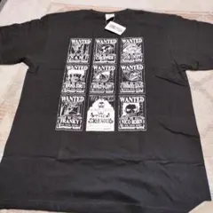 Item thumbnail for item 55b3094c-d2fe-4644-ad5b-eb11247f8d2f