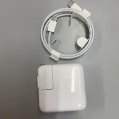 Apple純正Type-C充電器 30W Macbook Pro/Air対応