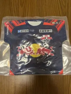 RB大宮アルディージャ 2025プレーヤーズクッション <全選手>