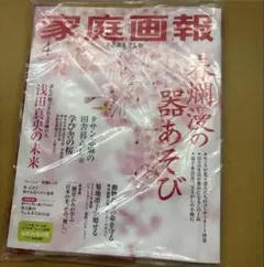 Item thumbnail for item 9e3214d7-5f4f-41d9-9711-3e8460fda8a8