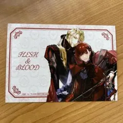2026年最新】FLESH＆BLOOD 松岡なつきの人気アイテム - メルカリ