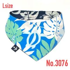 Item thumbnail for item be48c7f2-250d-413b-ac9e-745f88e8ff46