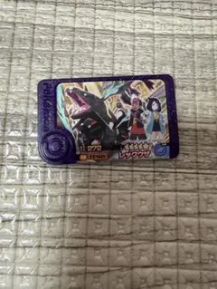 ポケモン　フレンダ　レックウザ　スーパートレジャー