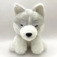 犬 ぬいぐるみ AQUA アニマル 動物 マスコット - メルカリ