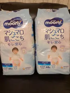 Item thumbnail for item b66b36bf-3765-42e9-8537-f1d692d9ed18