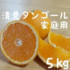 １愛媛県産 清見タンゴール きよみ 家庭用 ５㎏