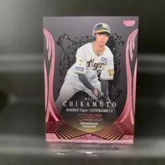 最終値下げ‼️阪神タイガース　2025沖縄キャンプ限定ユニフォーム 5番近本 最終値下げ‼️阪神タイガース 2025沖縄キャンプ限定ユニフォーム 5番近