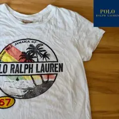 POLO RALPHLAUREN レディース　プリント　半袖　Tシャツ Mサイズ