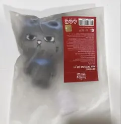 BOYNEXTDOOR ボネクド プネクド テサン　キーリング ぬいぐるみ