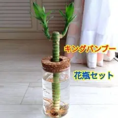 ガラス 瓶 コルク led ライト スケープ 花瓶 プランター 水耕栽培 10個