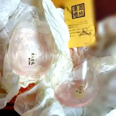 江戸硝子　手作り桜ガラスコップ 2個セット　薄型　田島釜　置地廣場